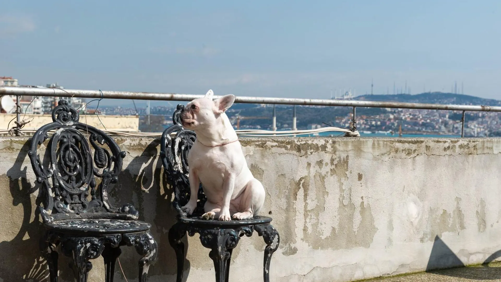 Mayer Galata Residence Istanbul